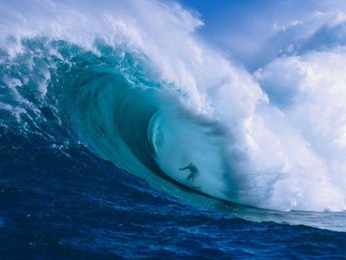 surfer-maui-hawaii_21086_990x742.jpg